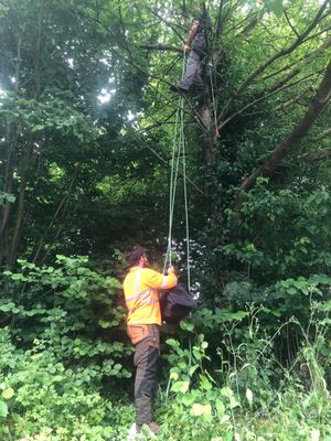 Ryan Jones and Matt Wilcoxon get Lola down