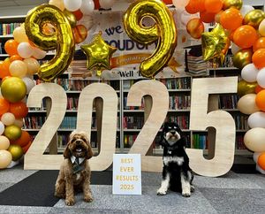 The Hart School's therapy dogs Rufus, left, and Arlo, right, celebrate the school's best-ever GCSE results