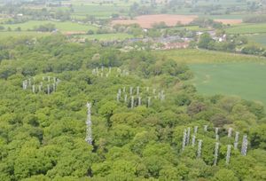 The University of Birmingham is trying to replicate the effect of elevated levels of Co2 in a Staffordshire woodland 