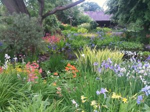 Supporting image for story: Gardens bursting with colour to open this weekend