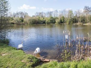 Supporting image for story: Plea to families after children spotted riding bikes on frozen Shrewsbury lake