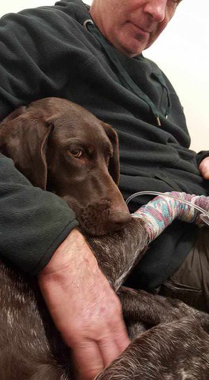 Poisoned Meg with Alan Davis