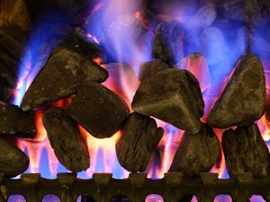 Supporting image for story: Thousands rush to claim pension credit amid winter fuel payment squeeze