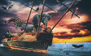 Supporting image for story