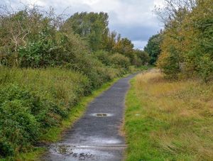 Mitchell Oakley's body was found on land in Buckpool Nature Reserve 