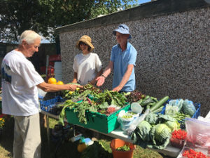 Supporting image for story: Shrewsbury allotment group wins national award from budget supermarket Aldi