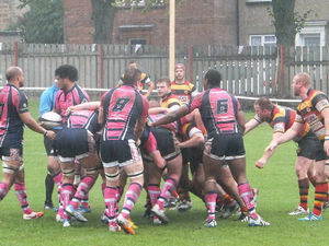 Supporting image for story: Doctor praised after saving rugby player on the pitch