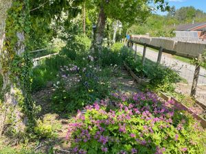 Supporting image for story: A request to place a bench in a Builth Wells bee garden has been refused