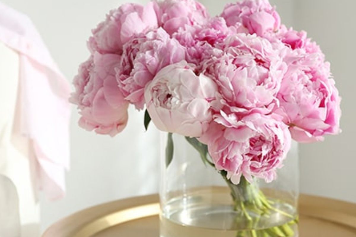 Treat yourself to a beautiful bouquet of peonies from Appleyard - 30% off with this exclusive code