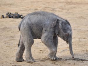 Supporting image for story