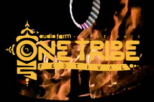 Supporting image for story: Five-day festival coming to castle