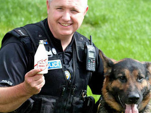 Supporting image for story: Dog proves he's got a nose for trouble