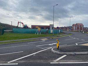 Supporting image for story: Busy Bees buzzes back to city