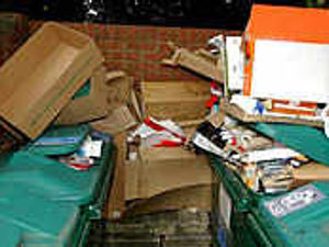 Supporting image for story: 'elf 'n' safety' versus common sense