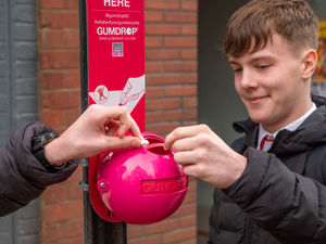 Supporting image for story: How two bright pink ball-shaped bins could help keep Shropshire town's streets clean