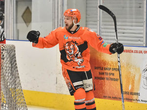 Supporting image for story: Telford Tigers maul the Knights in back to back meetings