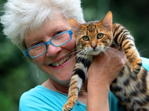 Supporting image for story: Shropshire Street Cats charity to host fundraising event