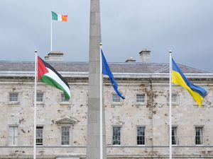 Supporting image for story: Irish Parliament suspended as protesters call for sanctions on Israel
