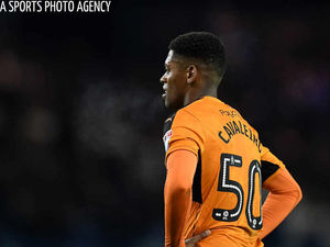 Supporting image for story: Ipswich v Wolves preview: Ivan Cavaleiro back as Paul Lambert eyes killer instinct
