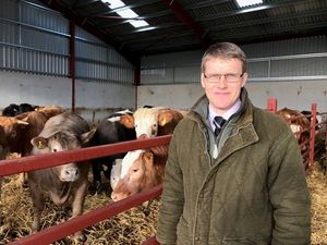 Supporting image for story: UK farmers can learn from the land of the cowboy, says Harbro director 