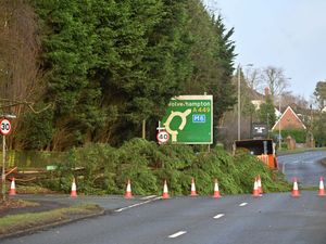 Supporting image for story: Storm Éowyn in the West Midlands: Flights cancelled, fallen tree blocks Wolverhampton road, outdoor markets close and more