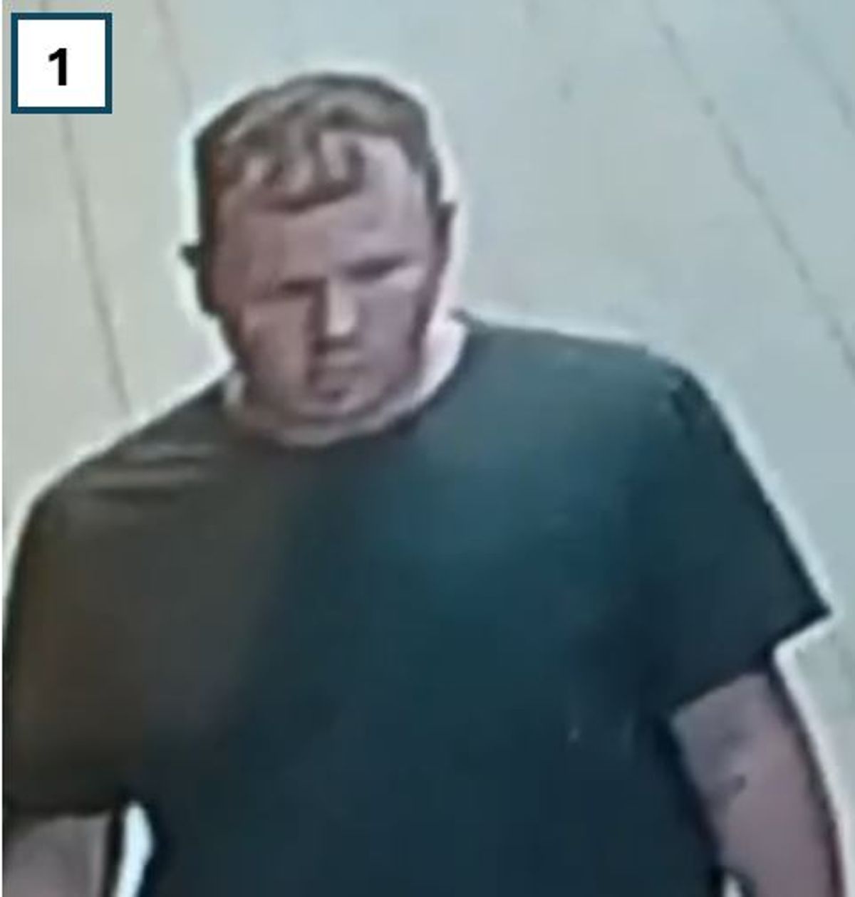 Do you recognise these suspected shoplifters? Telford police release photos of people they want to identify