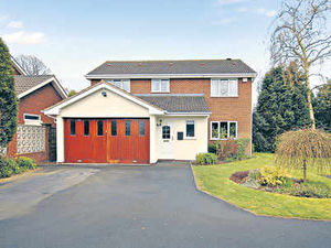 Supporting image for story: Baker still in the frame insists boss