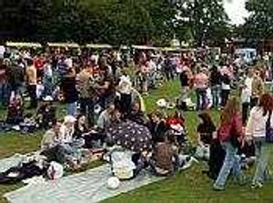 Supporting image for story: Crowds expected at music festival