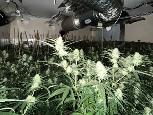 Supporting image for story: Man arrested after police raid Brierley Hill property and find £83,000 worth of drugs