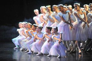 Amateurs and professional dancers perform together