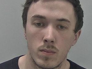 Supporting image for story: Search for Telford puppy farmer who failed to look after 55 dogs 