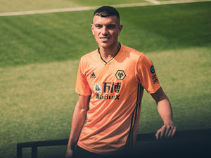 Supporting image for story: Wolves sign young striker Renat Dadashov