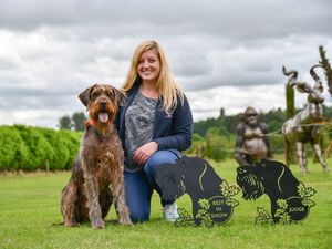 Supporting image for story: Top dogs get together for show at British Ironwork Centre