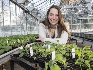 Supporting image for story: Discovery could help pest control