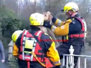 Supporting image for story: Firefighters' dramatic river rescue of dog prompts flood safety warning to owners