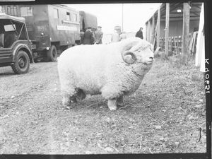 Supporting image for story: Elon Musk becomes ‘absolute unit’ in picture swap with English museum