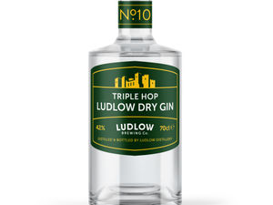 Supporting image for story: Drinks-makers team up to launch new gin
