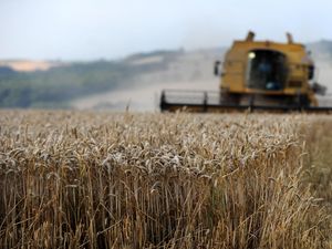 Supporting image for story: Peter Rhodes on food portions, farm finances and mouse prints in the frying pan