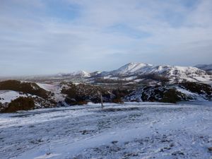 Supporting image for story: Frosty mornings and cold nights expected as Shropshire heads into the New Year