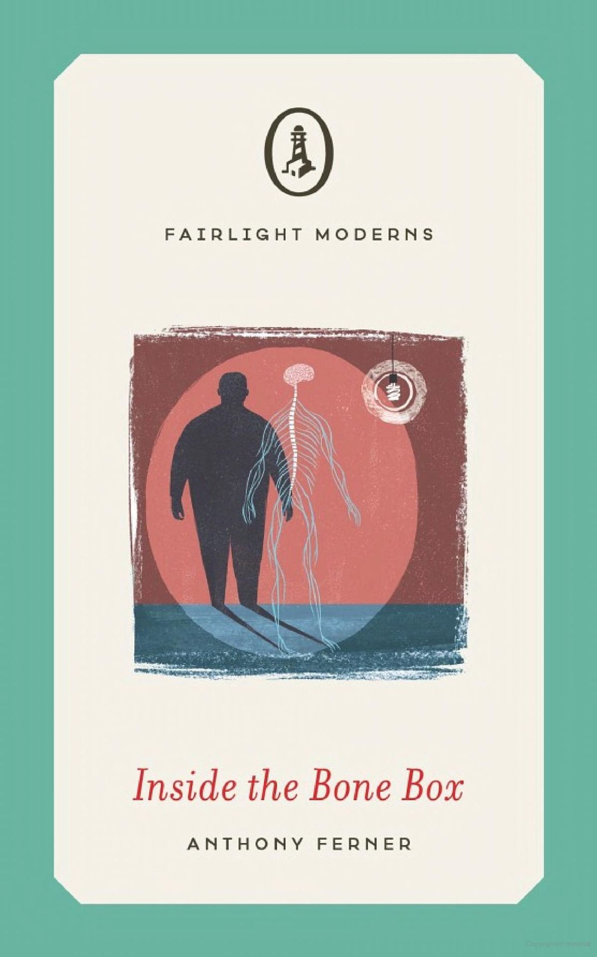 Inside the Bone Box Review: Anthony Ferner’s dark, thought-provoking novella of marriage, medicine, and moral flaws