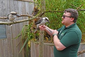 Ryan Jordan with Indi and Banjo, the latest additions to Telford Exotic Zoo.