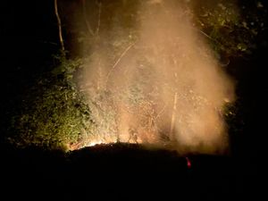 Supporting image for story: Shropshire firefighters battle undergrowth blaze on hottest day of the year