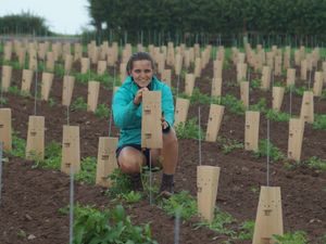 Supporting image for story: Twins launch Shropshire vineyard
