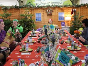 Supporting image for story: The touching reason seven rescue dogs sat round a table for a festive feast