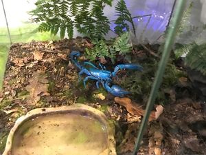 Supporting image for story