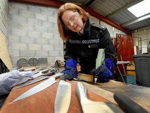 Supporting image for story: Police support for knife angel