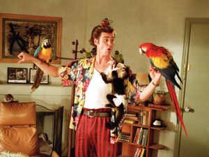Supporting image for story: Film Talk: Looking Back – The animal magnetism of Ace Ventura: Pet Detective 