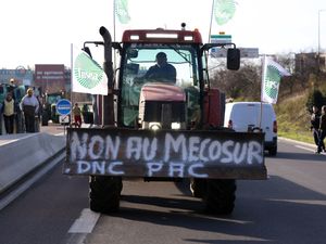 Supporting image for story: EU delays massive free-trade deal with South American bloc