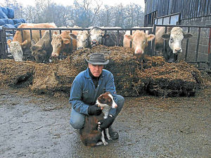 Supporting image for story: Robots no sheepdog substitute, says Shropshire farmer