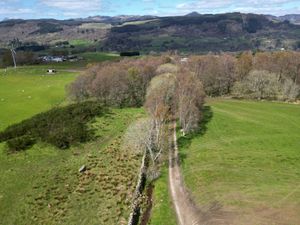 Supporting image for story: Ex-head gamekeeper goes on trial accused of shotgun murder